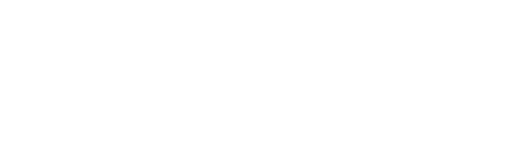 delovaya rossia logo